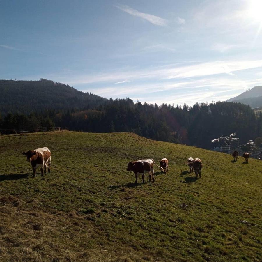 S'Heimatgfuehl Villa Schwarzenberg  Dış mekan fotoğraf