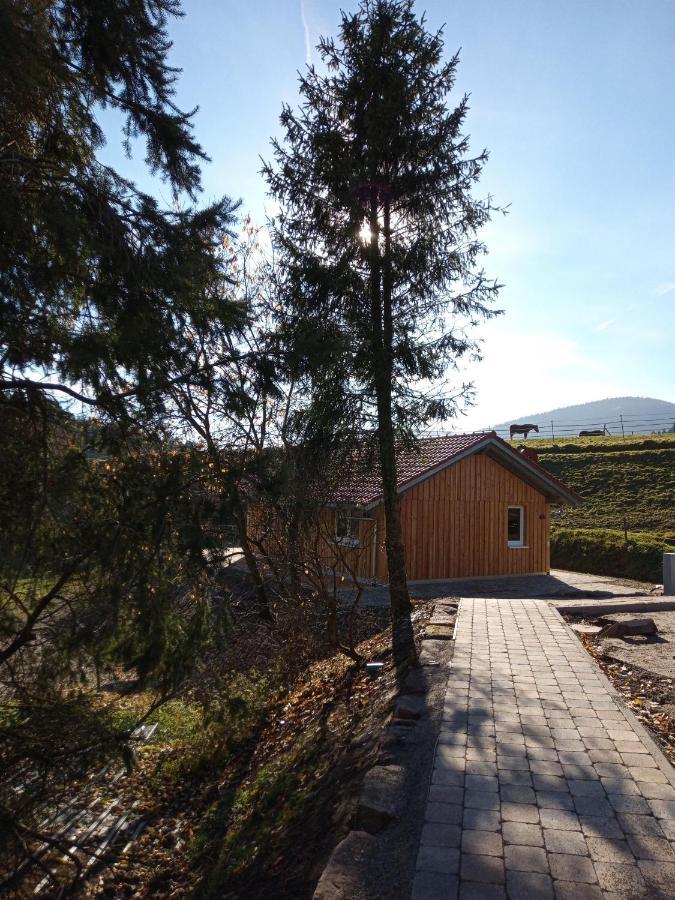 S'Heimatgfuehl Villa Schwarzenberg  Dış mekan fotoğraf